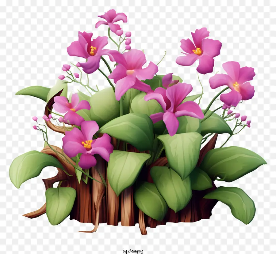 Tanaman Bunga Merah Muda，Vas Kayu PNG