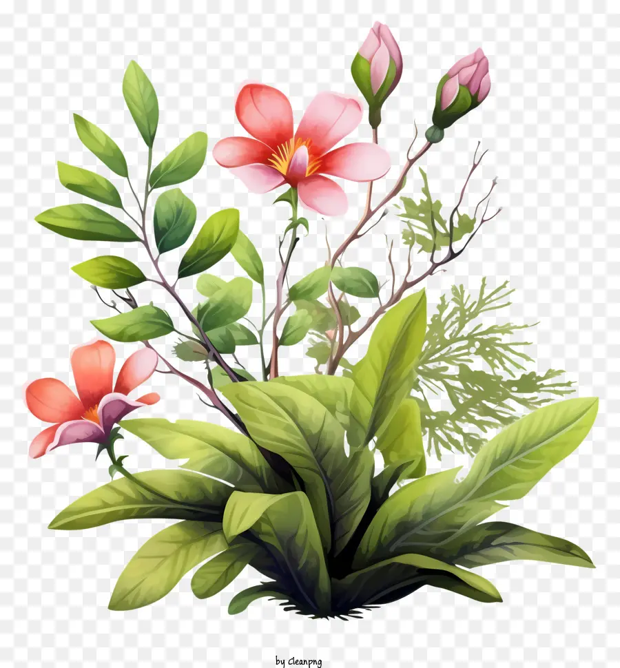 Karangan Bunga，Bunga Merah Muda PNG