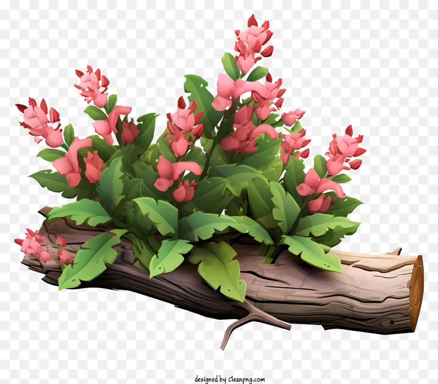 Bunga Merah Muda，Batang Pohon PNG