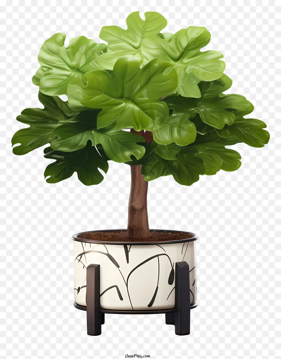 Pohon Bonsai，Pot Hitam Dan Putih PNG