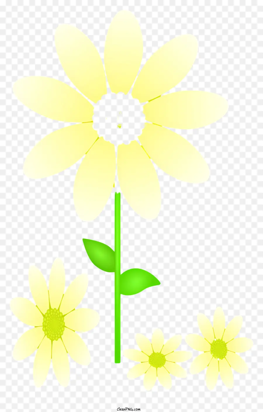 Bunga Kuning，Lima Kelopak PNG