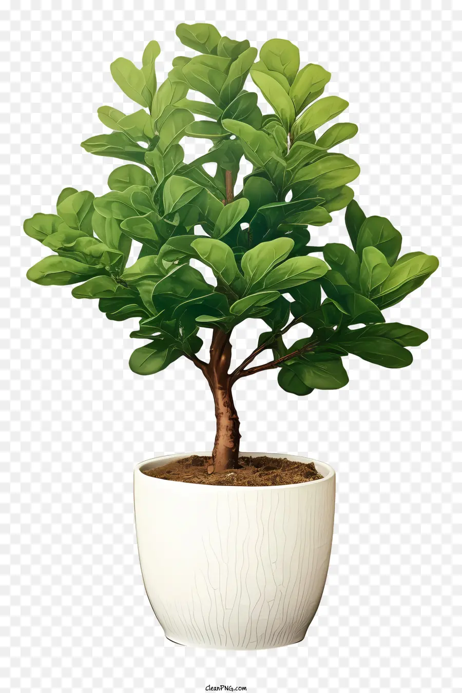 Pohon Bonsai，Bonsai Kecil PNG