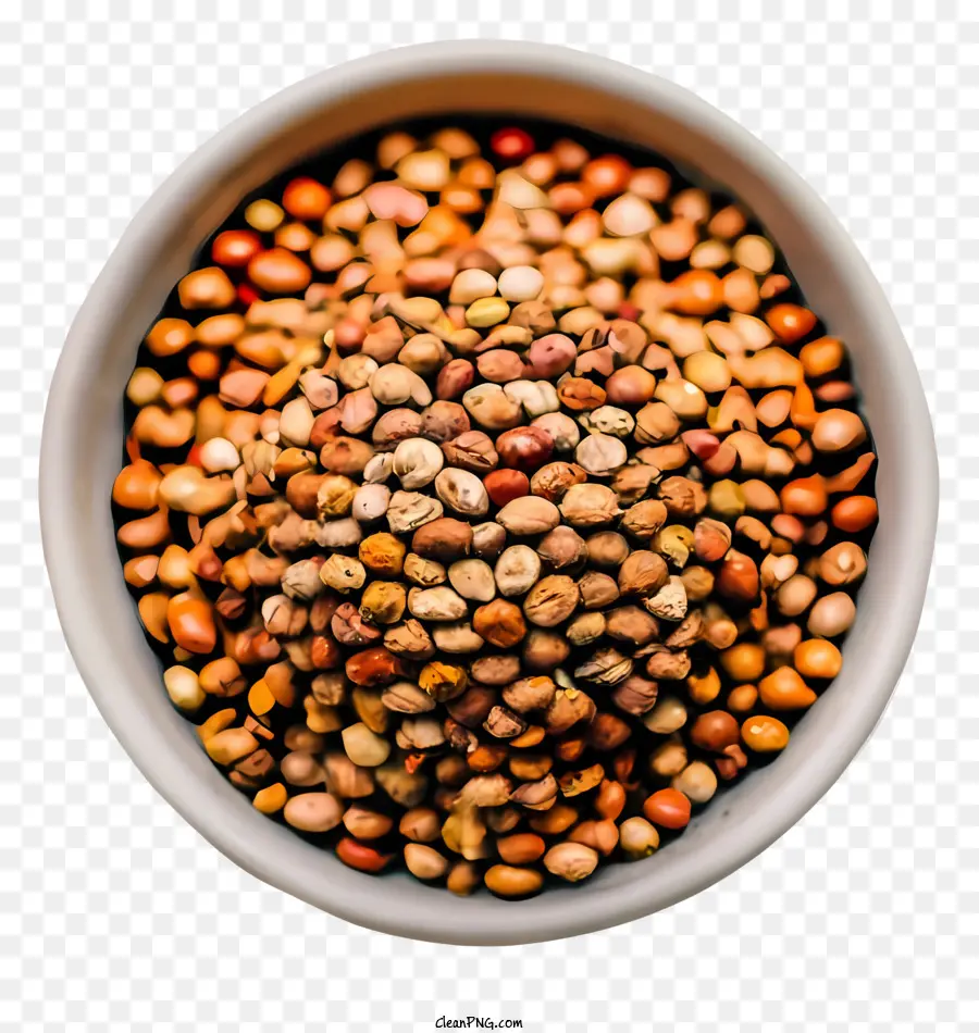 Kacang，Kacang Berwarna PNG