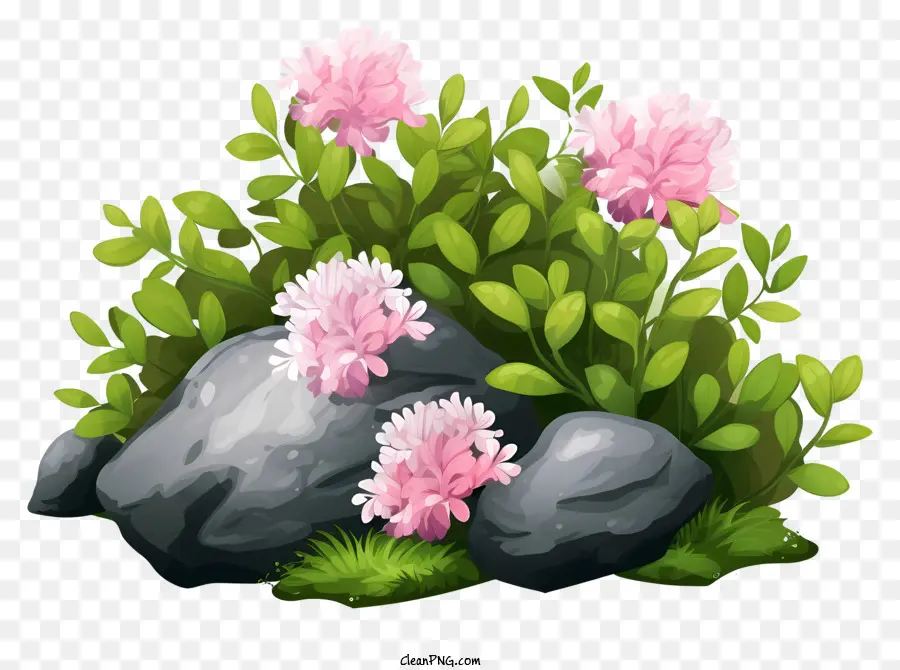 Bunga Merah Muda，Bunga Tumbuh PNG