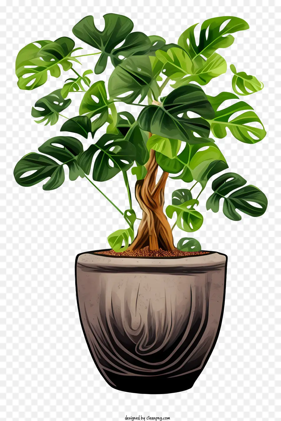 Tanaman Bonsai，Tanaman Pot PNG