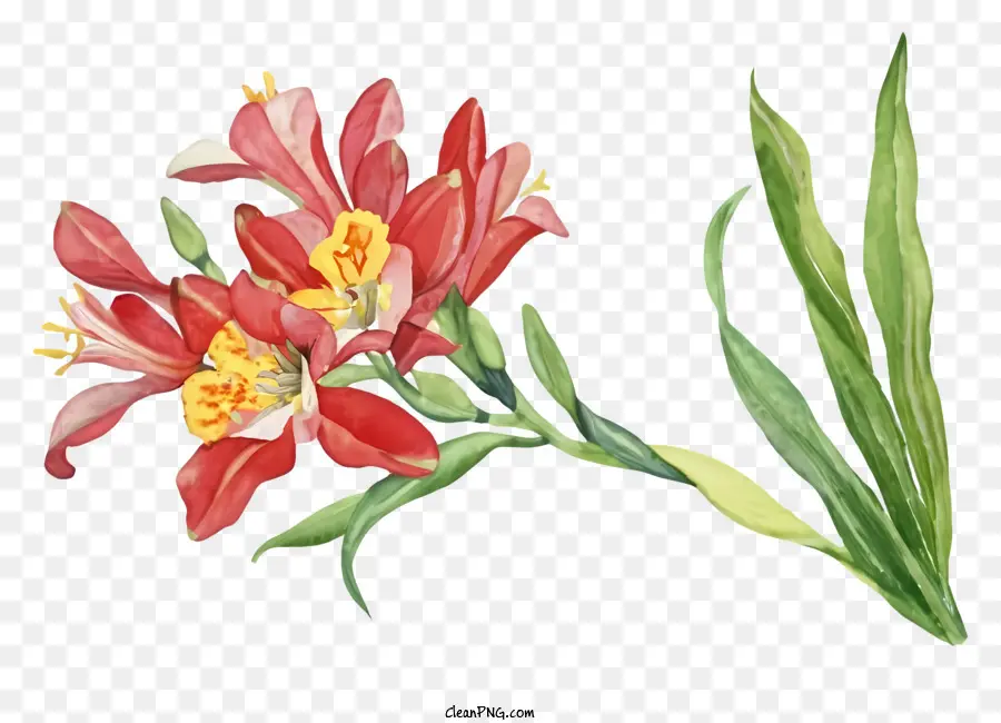 Lukisan，Bunga Merah Dan Kuning PNG
