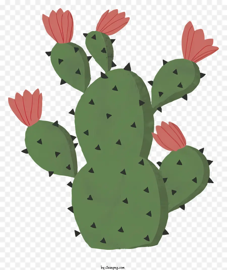Kaktus Hijau，Bunga Merah Muda PNG