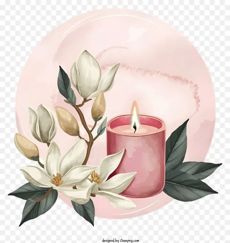 Lilin Merah Muda，Bunga Putih PNG