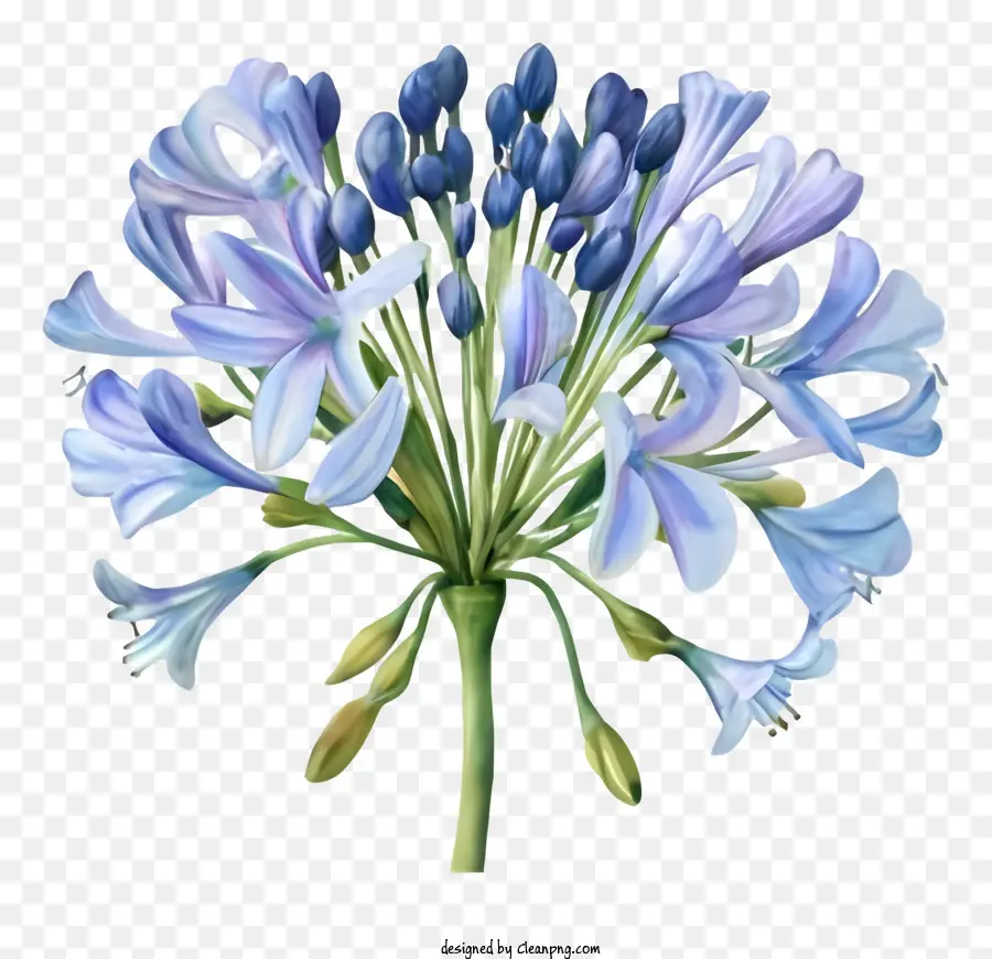 Bunga Bunga Ungu，Kelopak Biru PNG