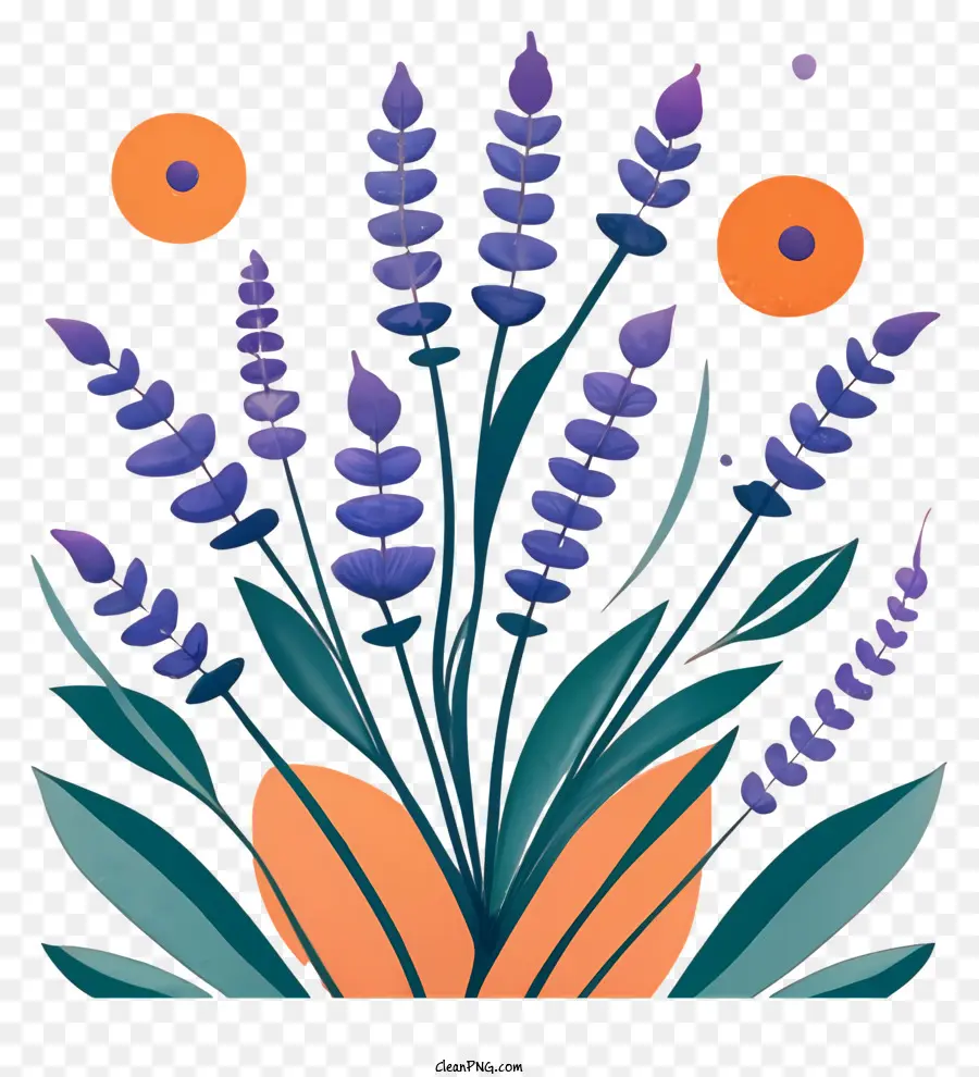 Bunga Lavender，Pengaturan Buket PNG