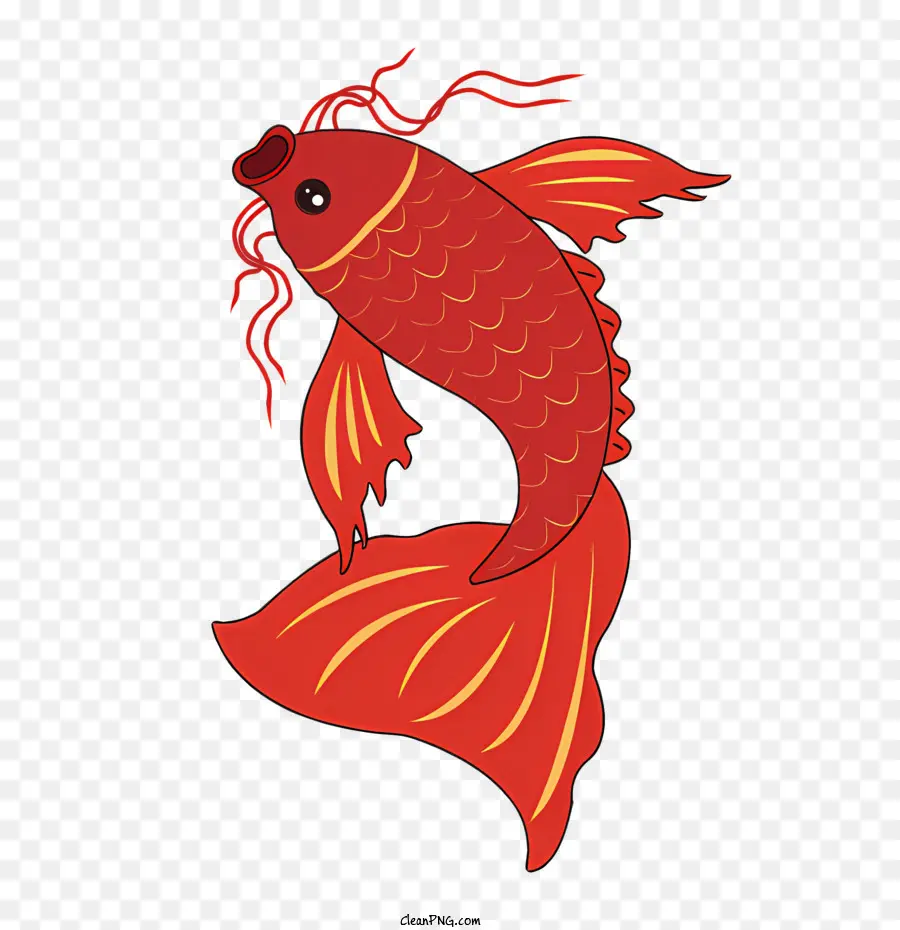 Ikan Koi Merah，Ikan PNG