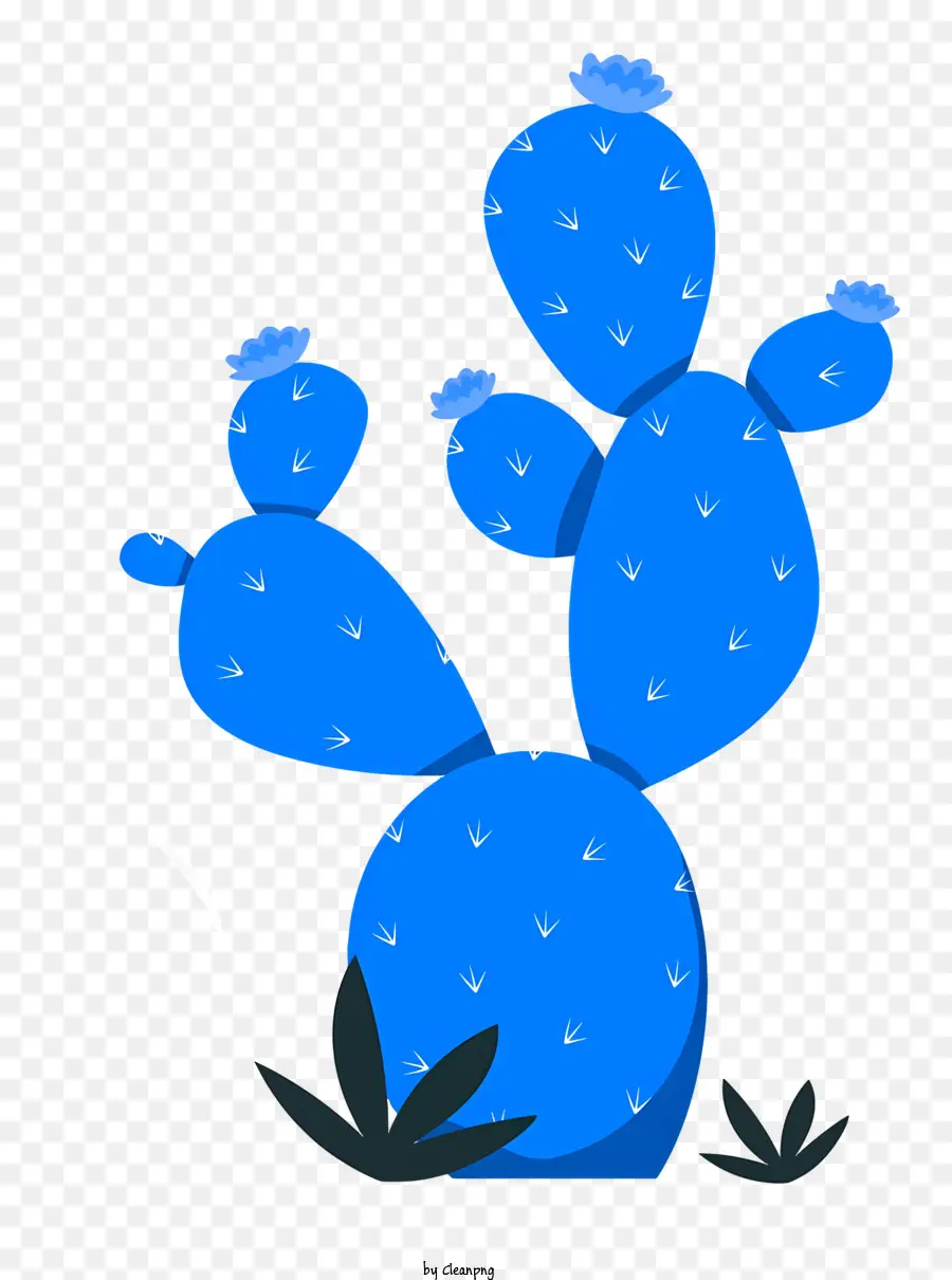 Tanaman Kaktus，Bunga Bunga Biru PNG