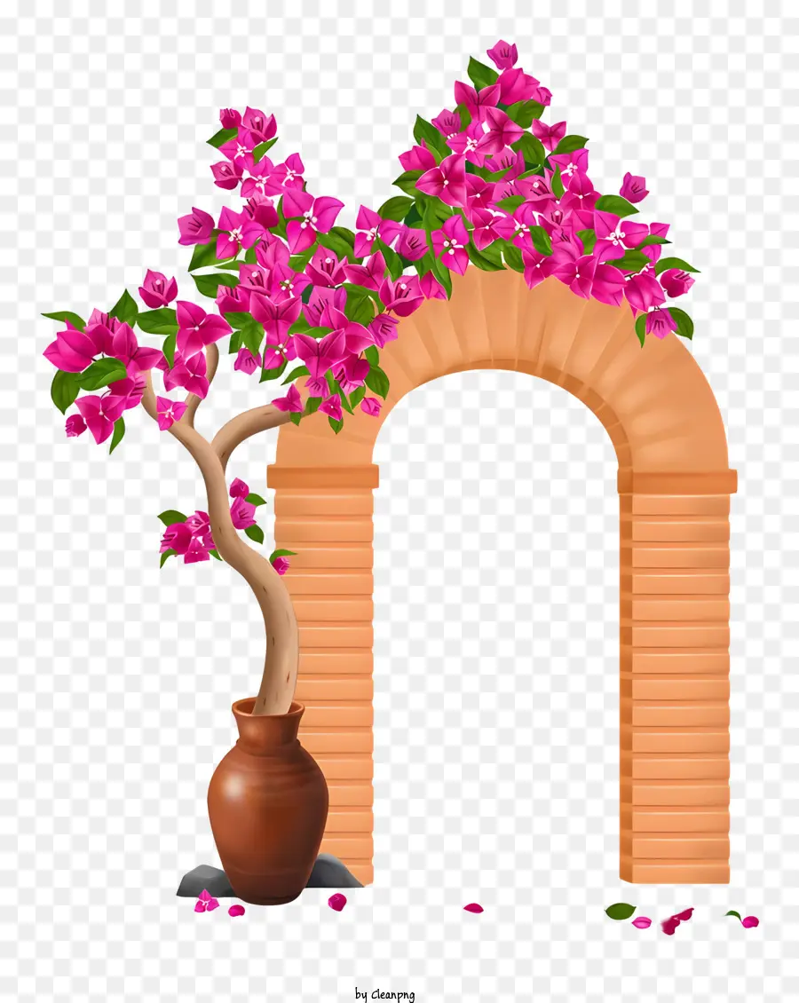 Jalur Taman，Pohon Berbunga Merah Muda PNG