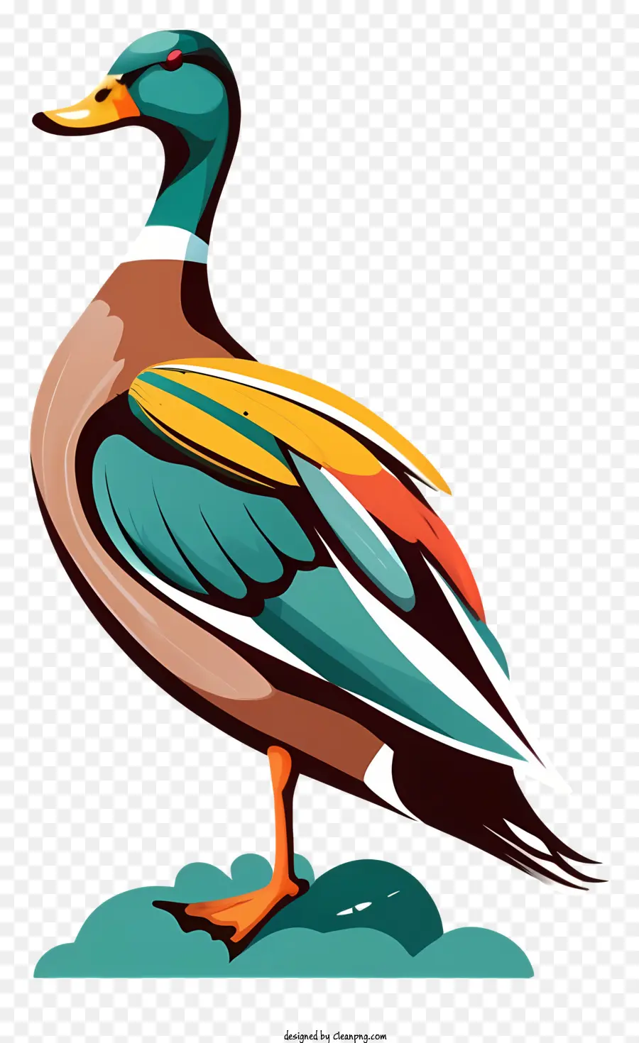 Warna Warni Burung，Paruh Panjang PNG