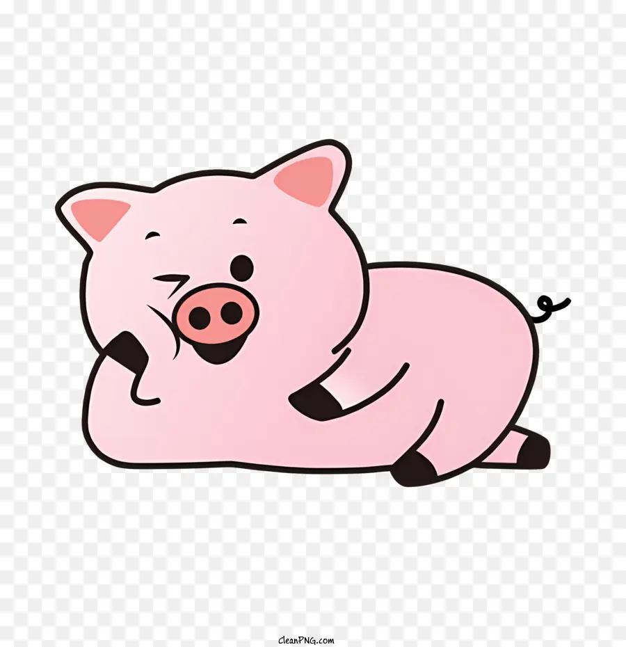 Babi Dengan Topi，Babi PNG