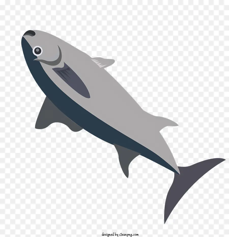 Ikan Besar，Tubuh Bulat PNG