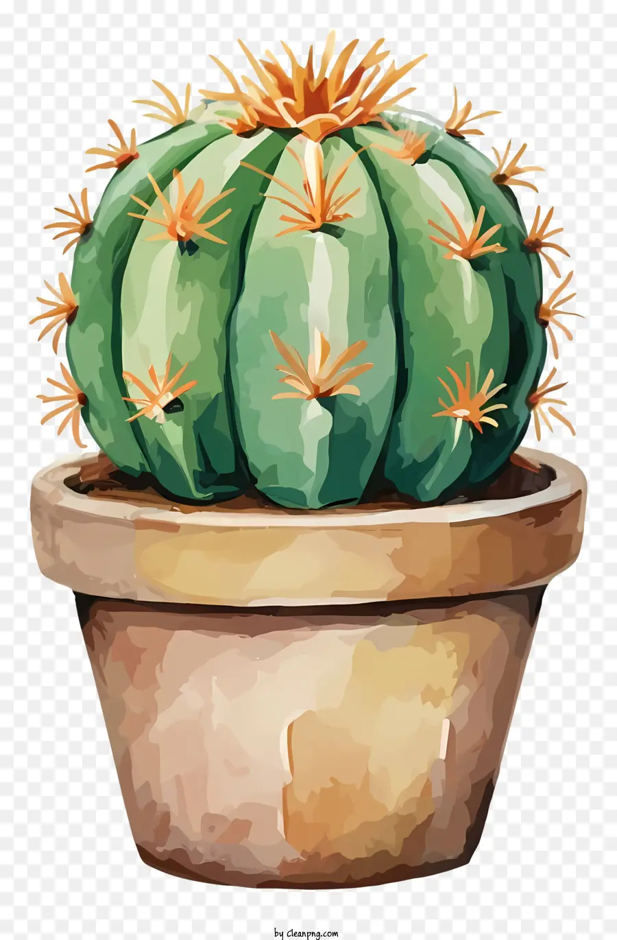 Kaktus Berwarna Warni，Kaktus Dalam Pot PNG