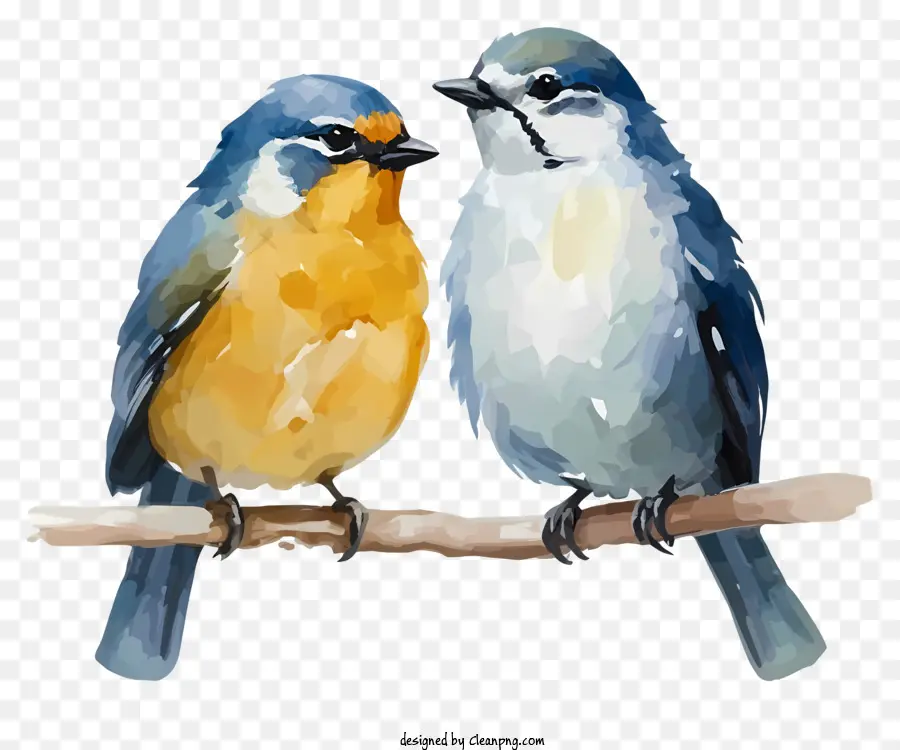 Lukisan Cat Air，Burung Biru Dan Oranye PNG