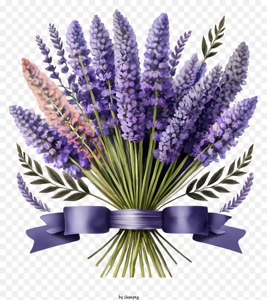 Lavender，Buket Lavender PNG