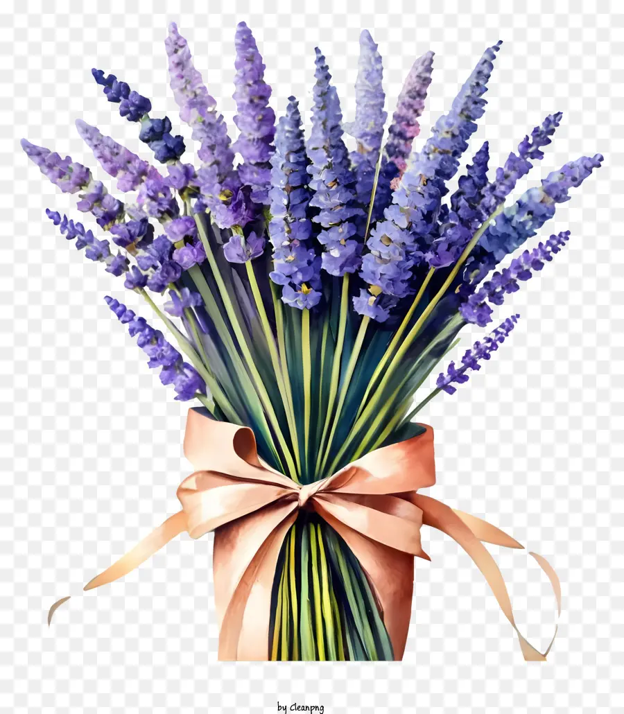 Karangan，Bunga Lavender PNG
