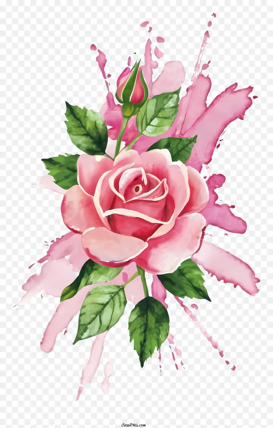 Lukisan Cat Air，Pink Rose PNG