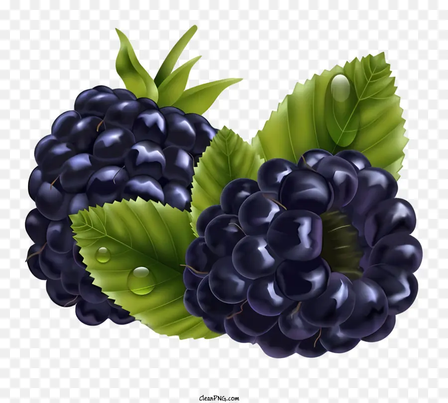 Blackberry，Buah Beri PNG