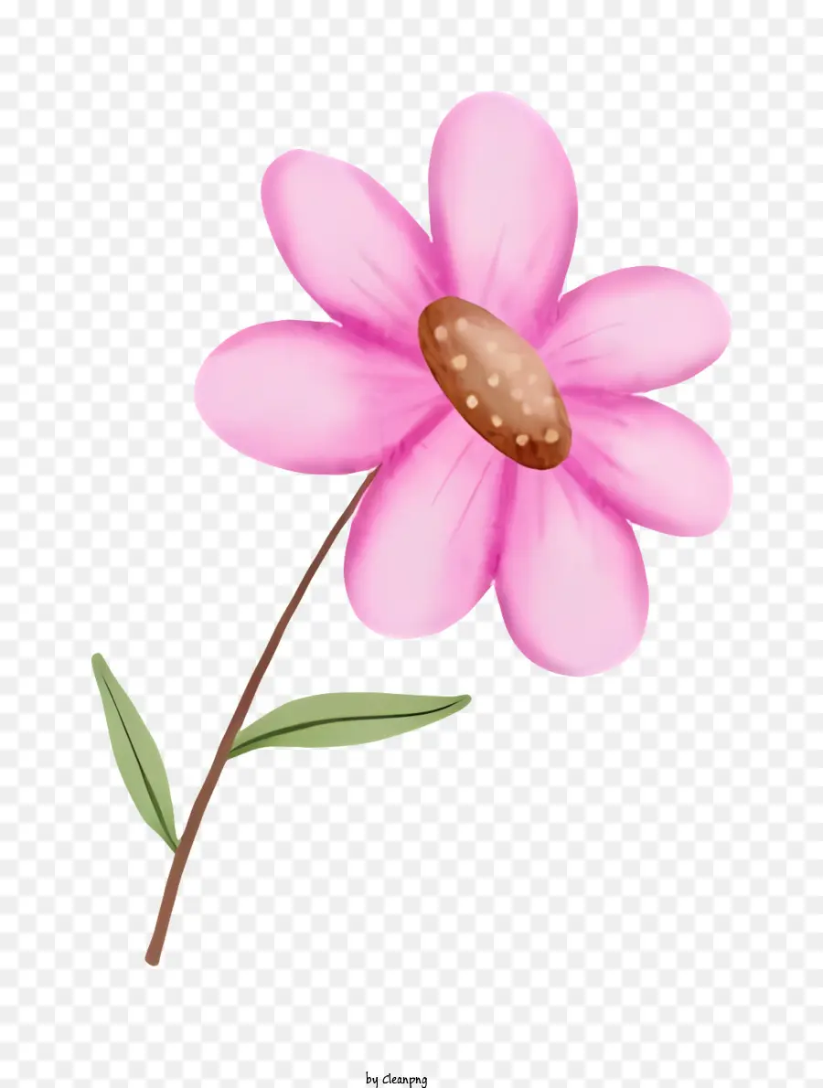 Bunga Merah Muda，Bunga Dengan Lima Kelopak PNG