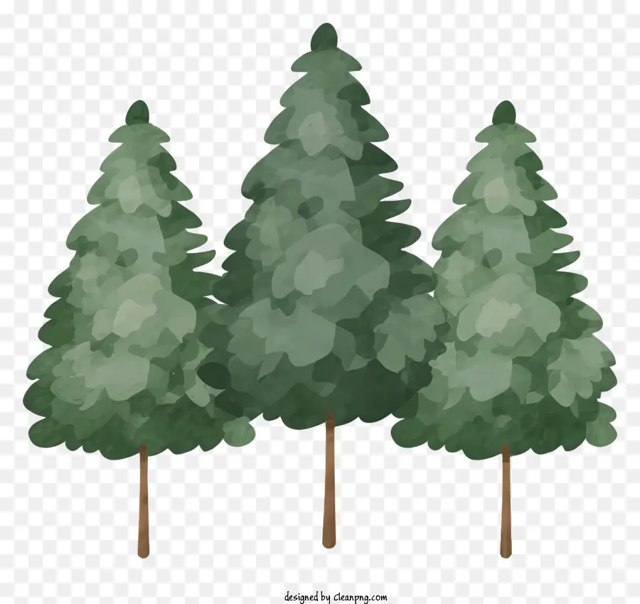 Pohon Pohon Pinus，Pohon Pohon Tinggi PNG