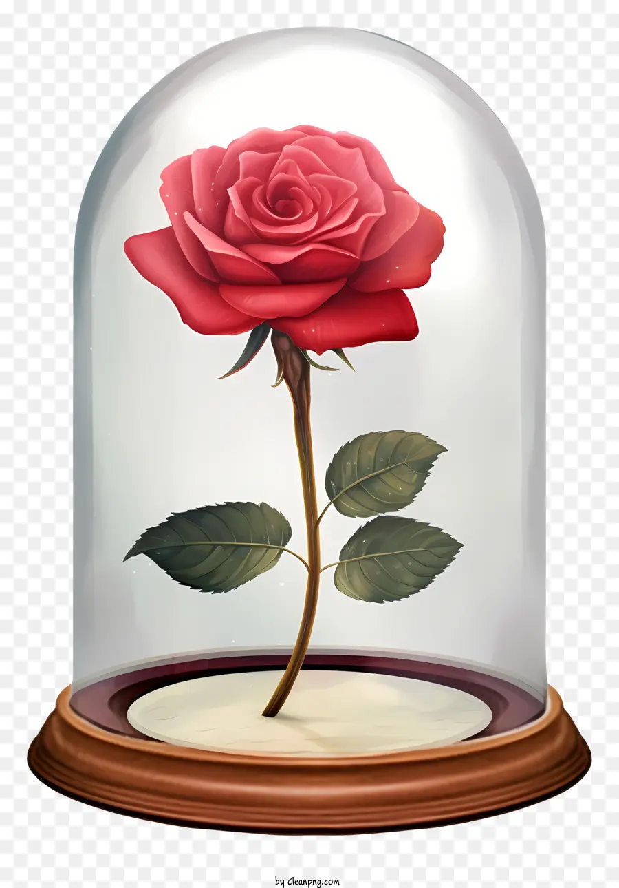 Mawar Merah，Kubah Kaca PNG