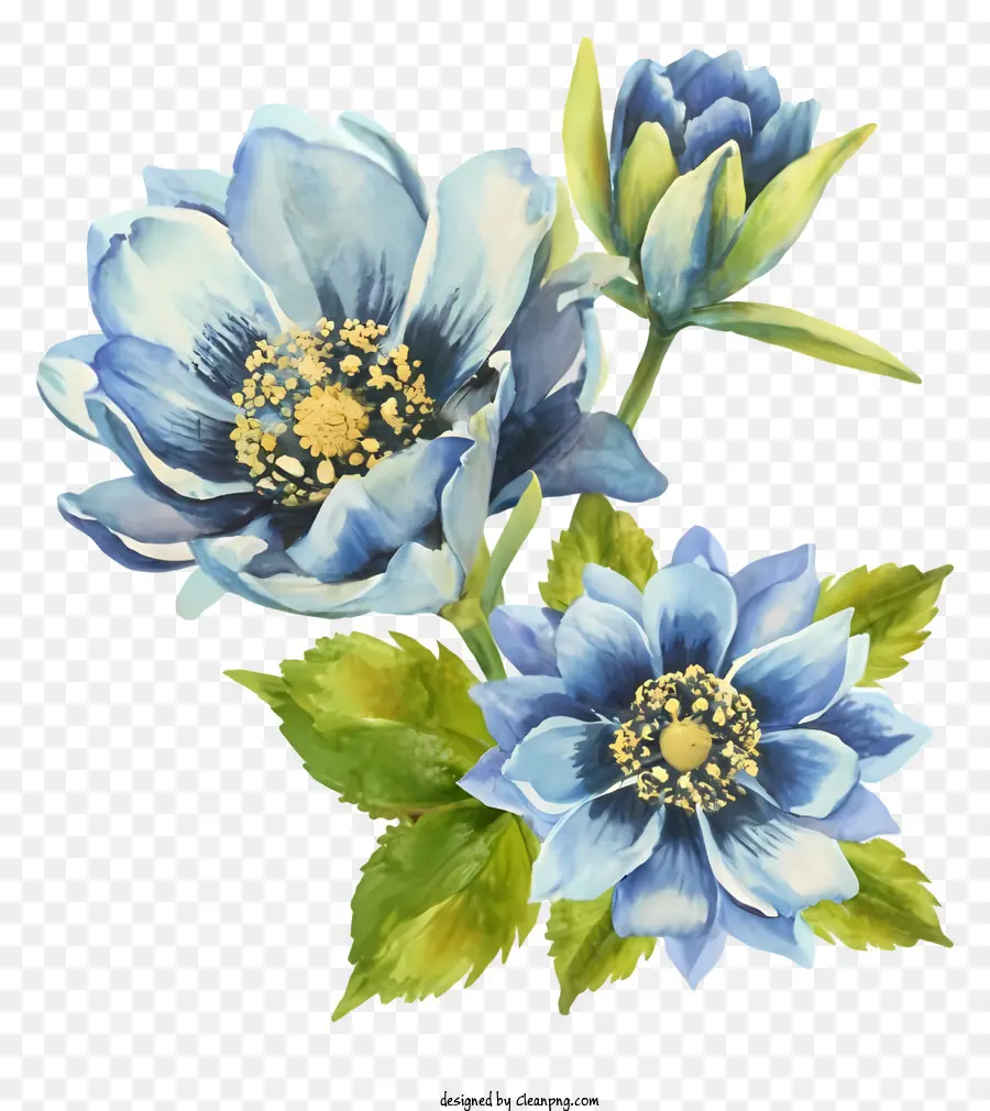 Lukisan Cat Air，Bunga Bunga Biru PNG