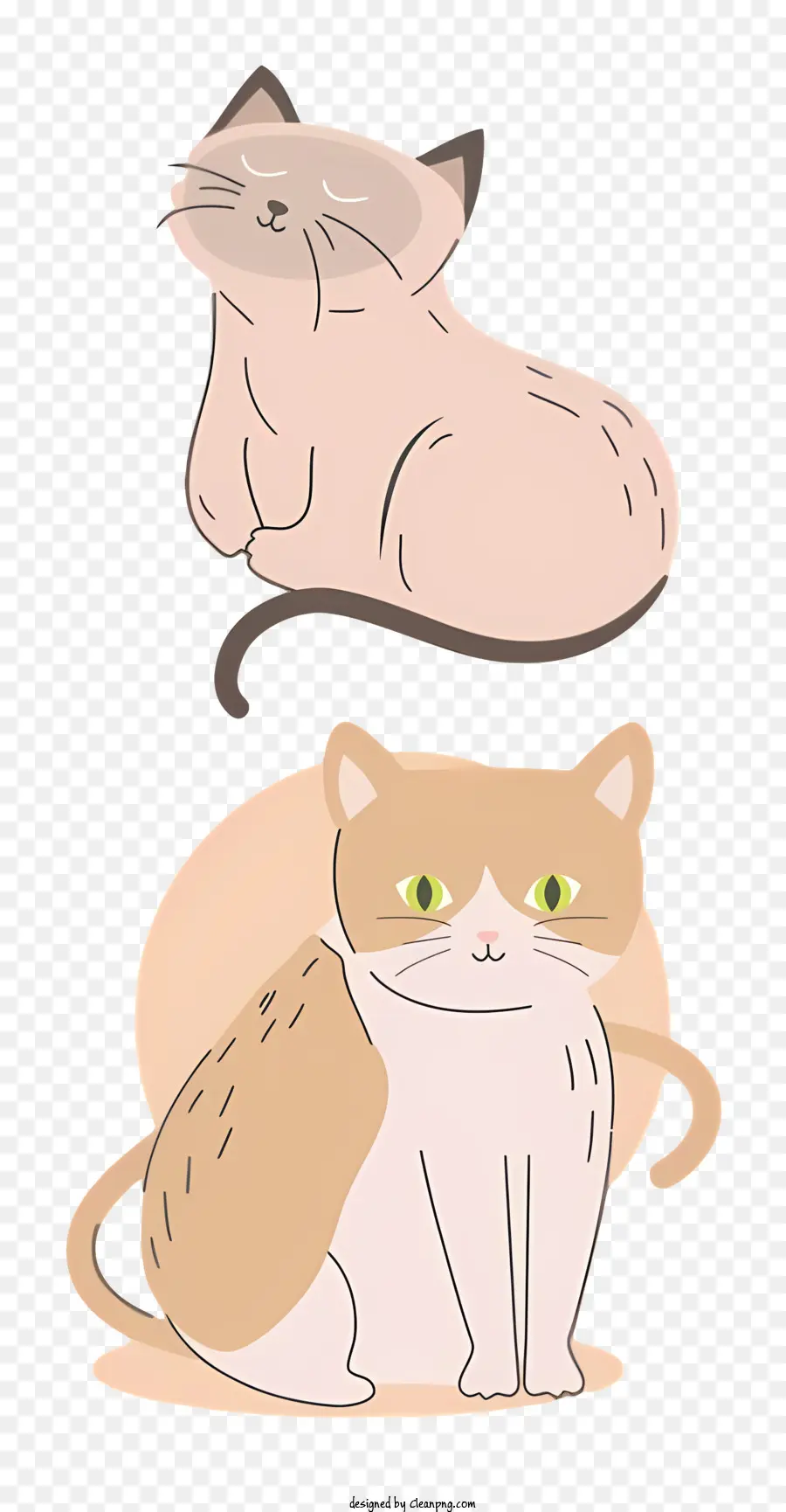 Kartun Kucing，Kucing Lucu PNG