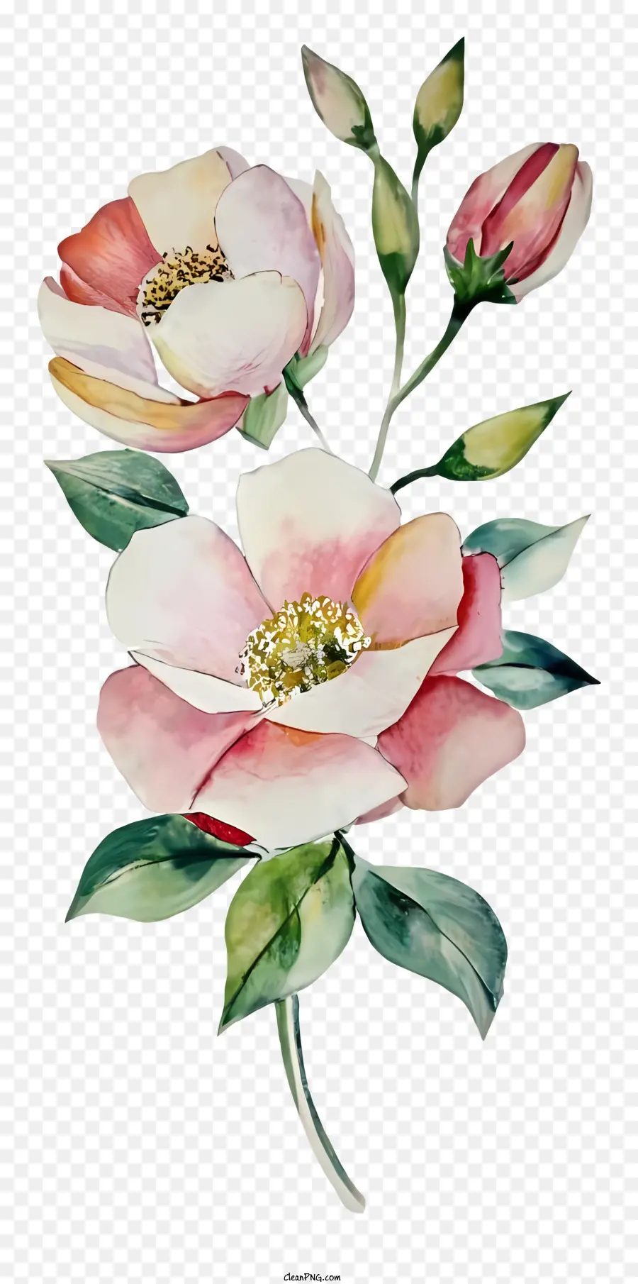 Bunga Merah Muda，Hijau Bunga Bunga PNG