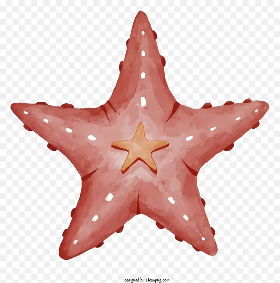 Bintang Laut Merah，Invertebrata Laut PNG