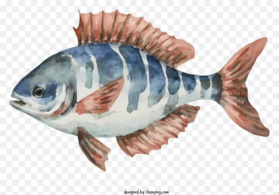 Lukisan Ikan，Ikan Merah Dan Biru PNG