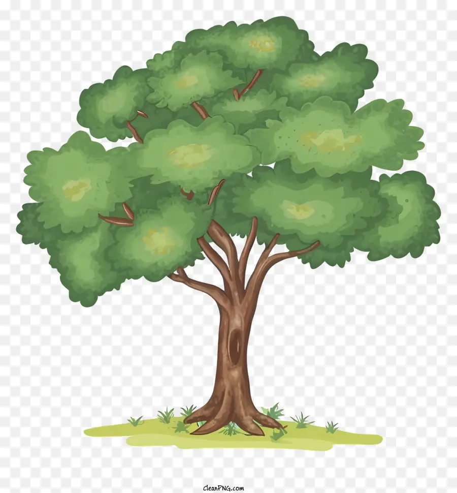 Pohon，Alam PNG