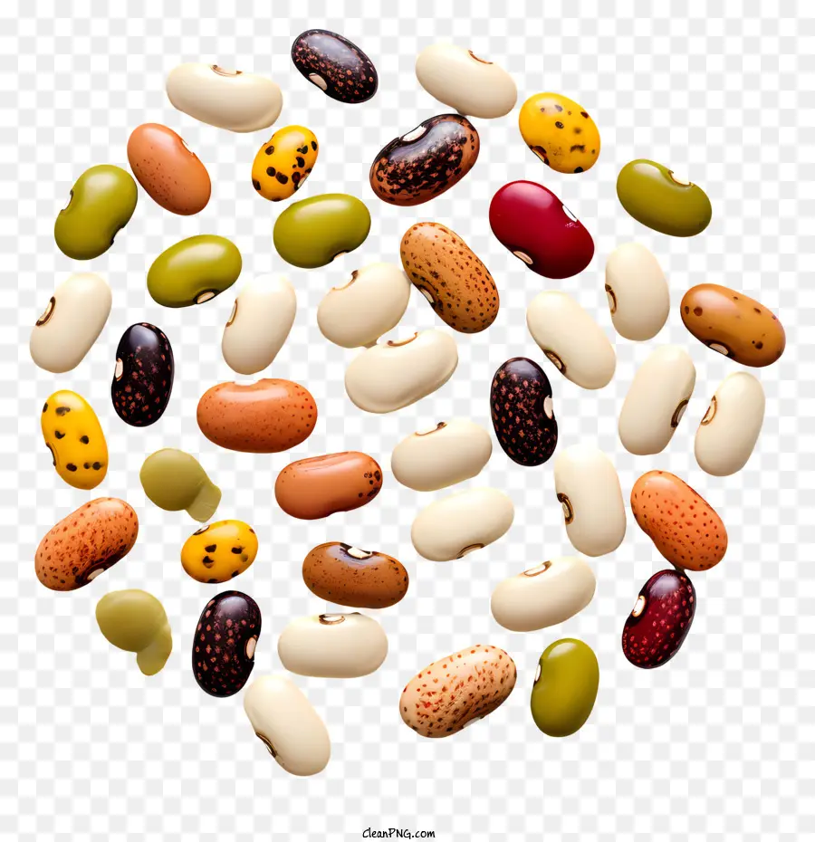 Kacang，Kacang Hitam PNG