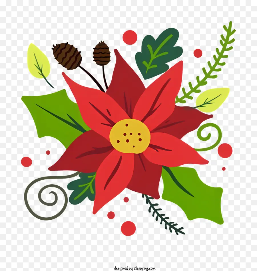 Poinsettia，Natal Bunga PNG