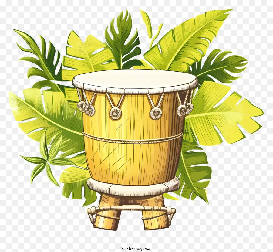 Conga Drums，Drum Bambu PNG