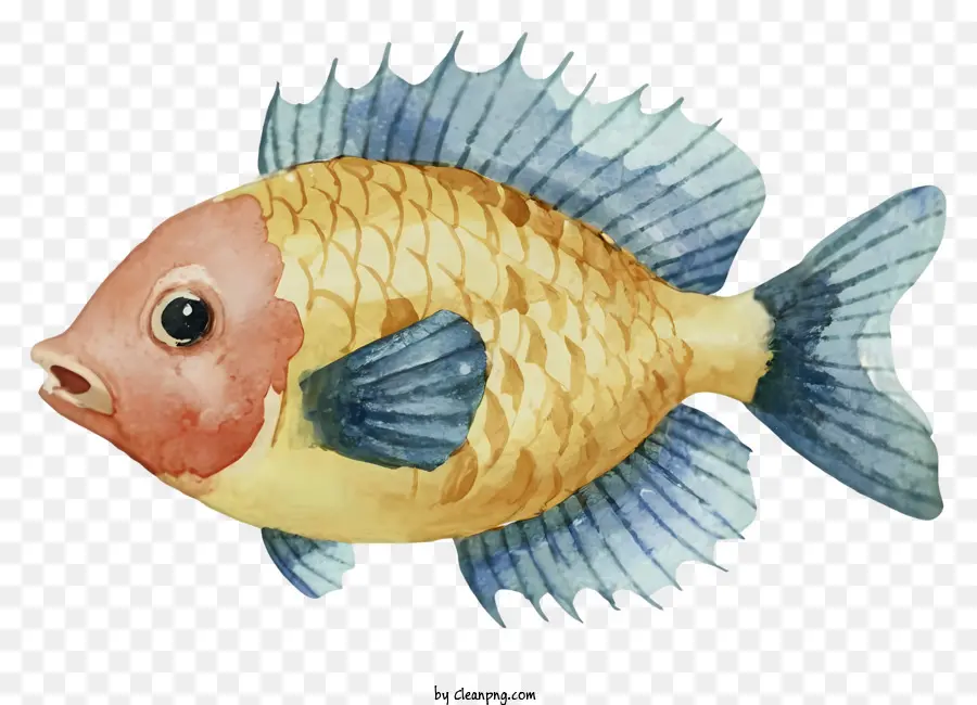 Cat Air Ilustrasi，Ikan Kuning Dan Biru PNG