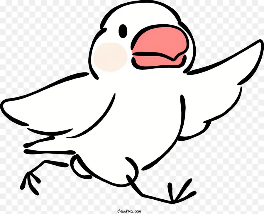 Burung Putih，Burung Terbang PNG