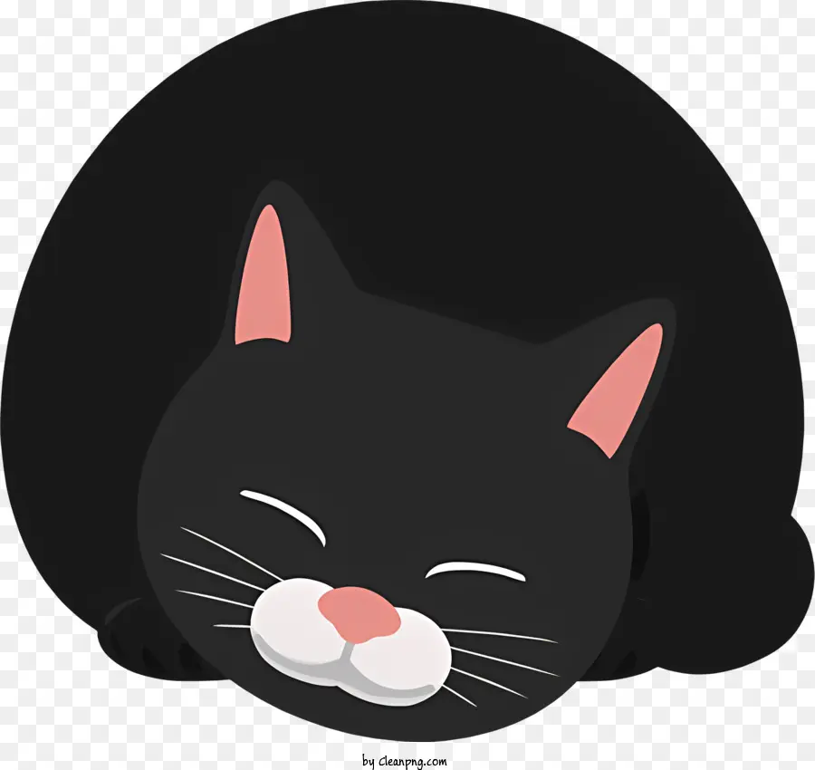 Kucing Hitam，Kucing PNG