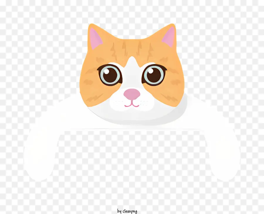 Kucing，Bulu Putih Dan Oranye PNG