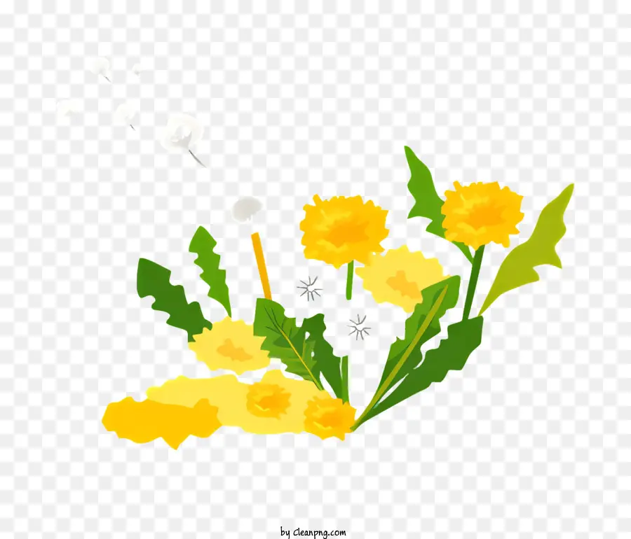 Dandelion，Kuning PNG