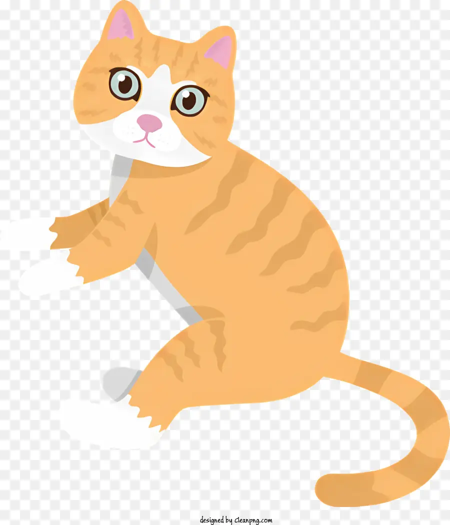 Kucing，Kucing Oranye Dan Putih PNG