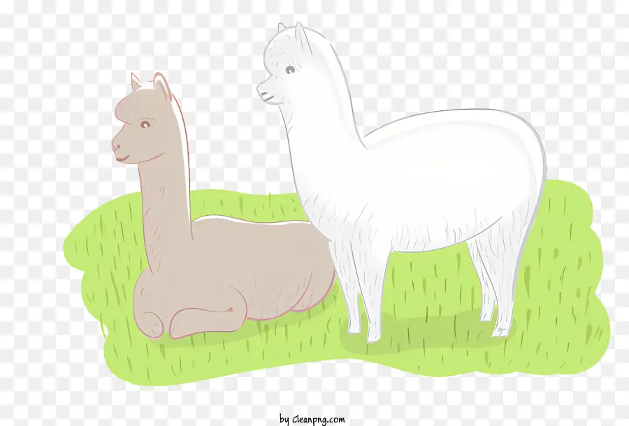 Llama，Alpaka PNG