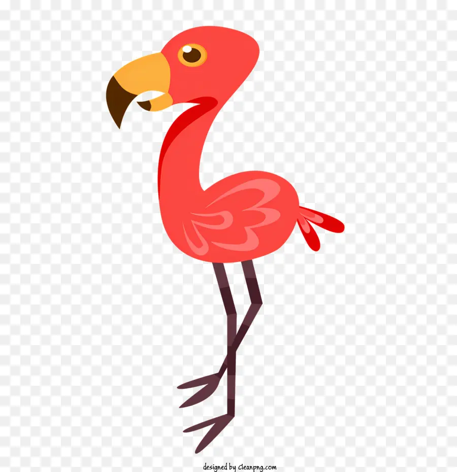 Flamingo，Flamingo Dengan Mahkota PNG