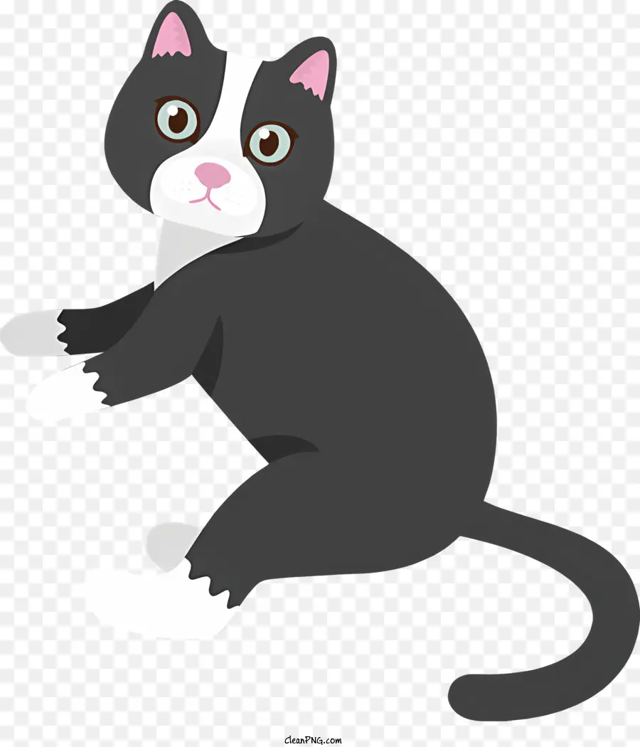 Kucing Hitam Dan Putih，Kucing Hitam Putih PNG