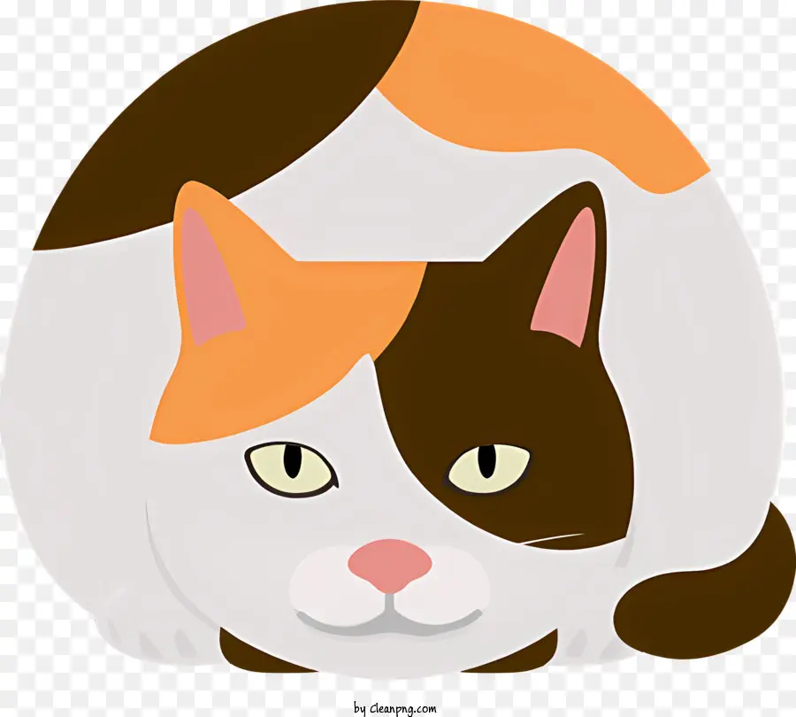 Kucing，Bulu Oranye Dan Coklat PNG