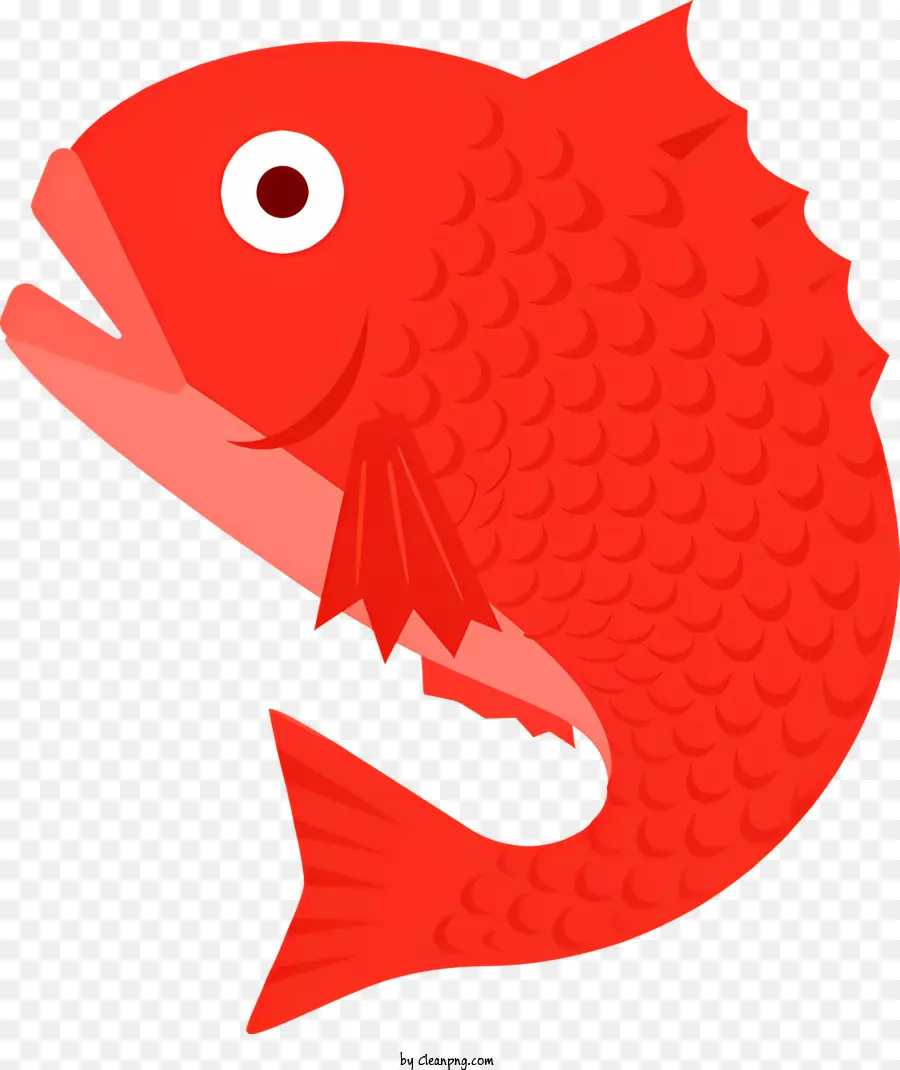 Ikan Merah，Ikan PNG