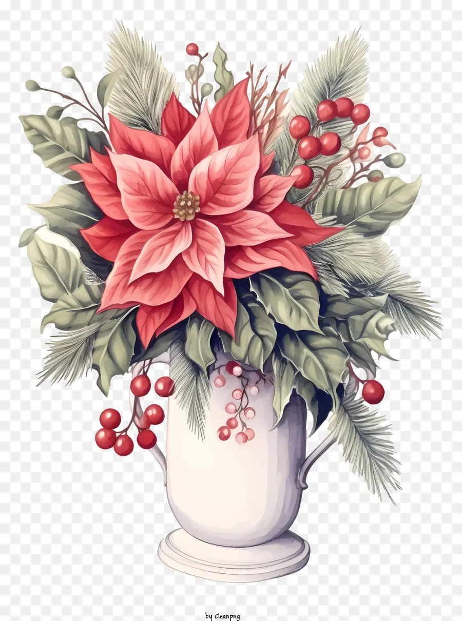 Vas，Pengaturan Poinsettia PNG